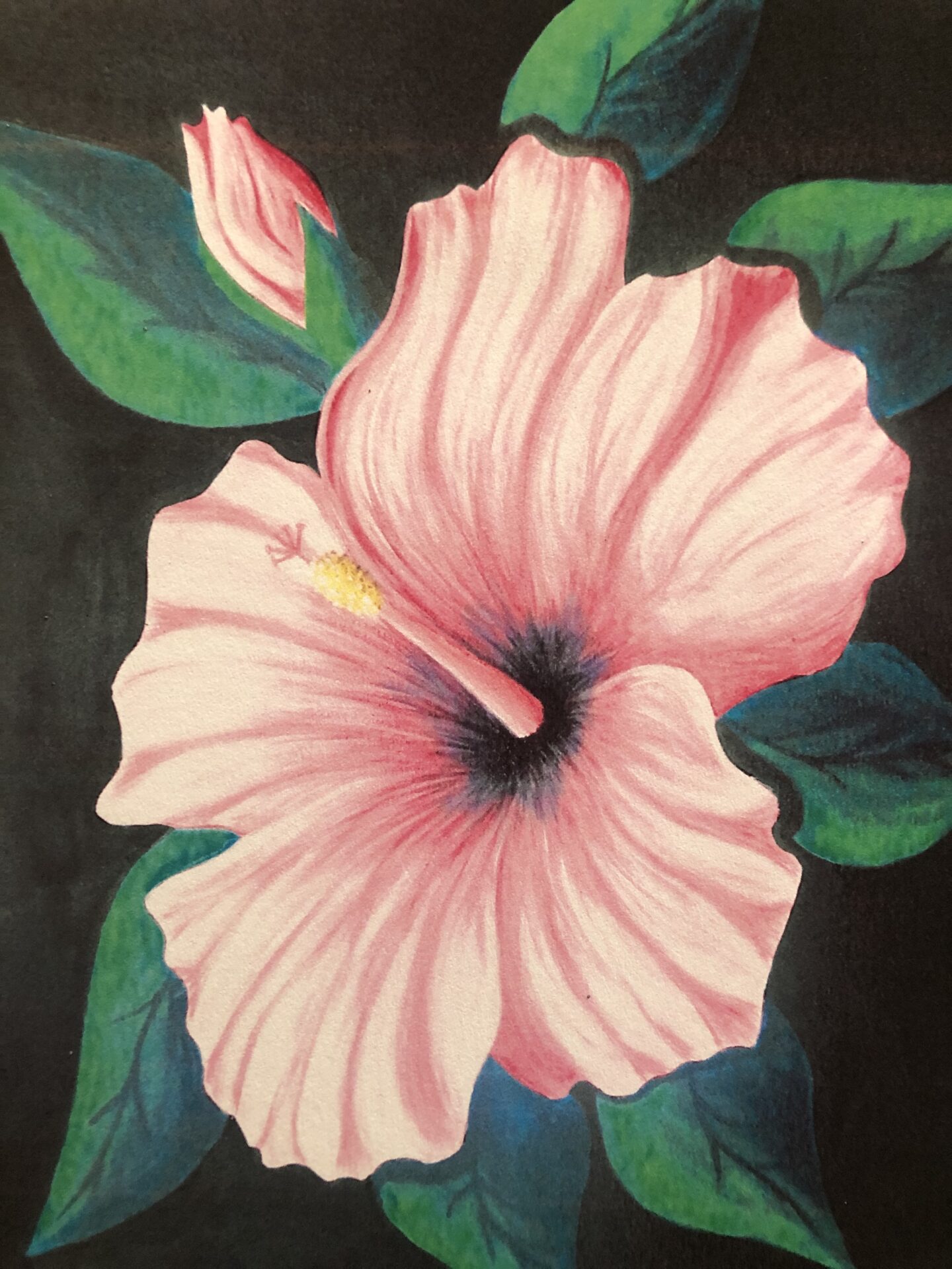 Hibiscus from uptown paint and sip painting classes in Jupiter FL