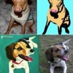 Paint Your Pet, Your Choice from uptown paint and sip painting classes in Jupiter FL