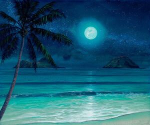 Full Moon Set from uptown paint and sip painting classes in Jupiter FL