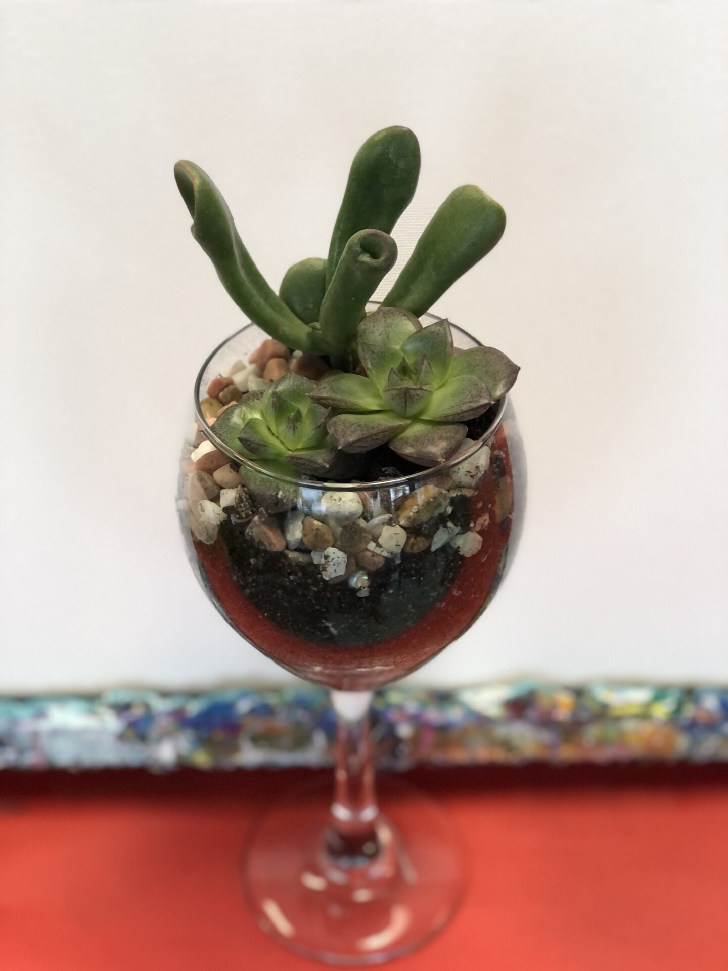 Painted Wine Glass with Succulents from uptown paint and sip painting classes in Jupiter FL